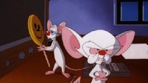 Pinky and the Brain - Episode 15 - The Pinky Protocol