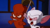 Pinky and the Brain - Episode 18 - Brain Acres