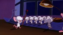 Pinky and the Brain - Episode 19 - Pinky and the Brainmaker