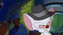 Pinky and the Brain - Episode 24 - Brain's Way