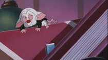 Pinky and the Brain - Episode 28 - Big in Japan