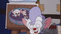 Pinky and the Brain - Episode 29 - But, That's Not All Folks!