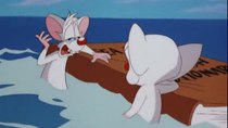 Pinky and the Brain - Episode 31 - You Said a Mouseful