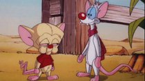 Pinky and the Brain - Episode 38 - The Melancholy Brain