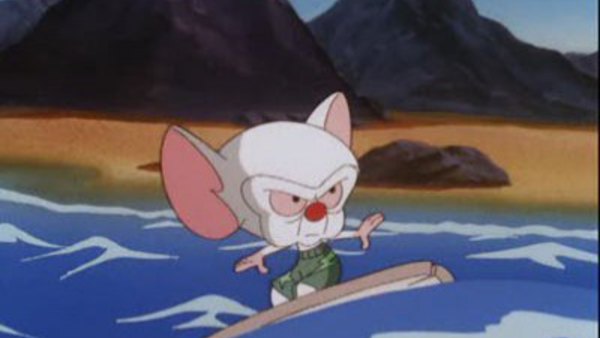 Pinky and the Brain - S03E41 - Beach Blanket Brain