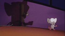 Pinky and the Brain - Episode 49 - The Pinky P.O.V.