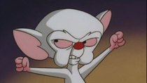 Pinky and the Brain - Episode 3 - Brainwashed (3): Wash Harder