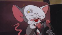 Pinky And The Brain - S2E12 E13 - Two Mice and a Baby, The Maze