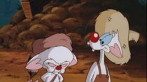 Pinky and the Brain - Episode 7 - A Legendary Tail