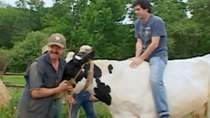 Kenny vs. Spenny - Episode 5 - Who Can Sit On a Cow the Longest?
