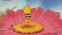 Mitsubachi Maaya no Bouken - Episode 49 - Bart the honeybee