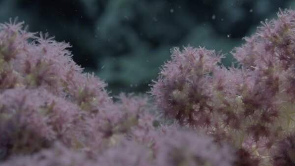 Secrets of the Enchanted Waters Season 1 Episode 1