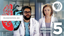 Frankenstein, MD - Episode 5 - Mind Control Rats