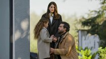 Layl episodes (TV Series 2025 - 2026)