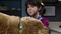 Punky Brewster - Episode 21 - I Love You, Brandon