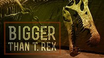 NOVA - Episode 20 - Bigger Than T. Rex