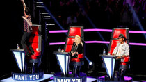 The Voice - Episode 4 - The Blind Auditions, Part 4