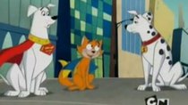 Krypto the Superdog - Episode 14 - Old Dog, New Tricks