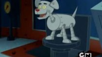 Krypto the Superdog - Episode 20 - Dogbot to the Rescue