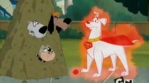 Krypto the Superdog - Episode 32 - Superdog? Who's Superdog?