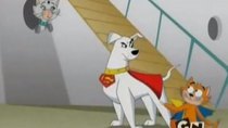 Krypto the Superdog - Episode 44 - Stray for a Day