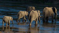 Natural World - Episode 3 - Elephants of the Sand River