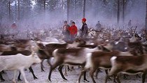 Natural World - Episode 9 - On the Path of the Reindeer