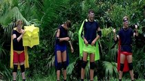 I'm a Celebrity... Get Me Out of Here! - Episode 19 - Celebrity Cyclone