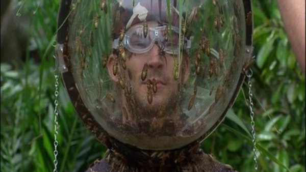 I'm a Celebrity... Get Me Out of Here! - S14E20 - Final: Fill Your Face / Bushtucker Bonanza / Drown and Out