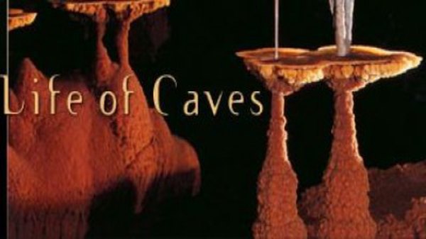 NOVA - S29E10 - Mysterious Life Of Caves