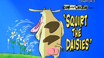 Cow and Chicken - Episode 20 - Squirt The Daisies