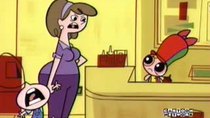 The Powerpuff Girls - Episode 12 - Not So Awesome Blossom