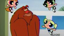 The Powerpuff Girls - Episode 4 - Say Uncle