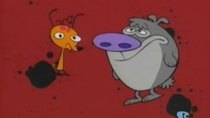 2 Stupid Dogs - Episode 11 - Cartoon Canines