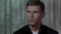 Adam-12 - Episode 3 - Log 052: Good Cop: Handle with Care