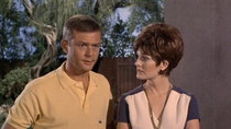 Adam-12 - Episode 17 - Log 024: A Rare Occasion