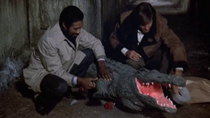 Hill Street Blues - Episode 10 - Gatorbait