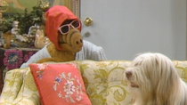 ALF - Episode 20 - You Ain't Nothin' But a Hound Dog