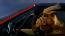 ALF - Episode 10 - Baby, You Can Drive My Car