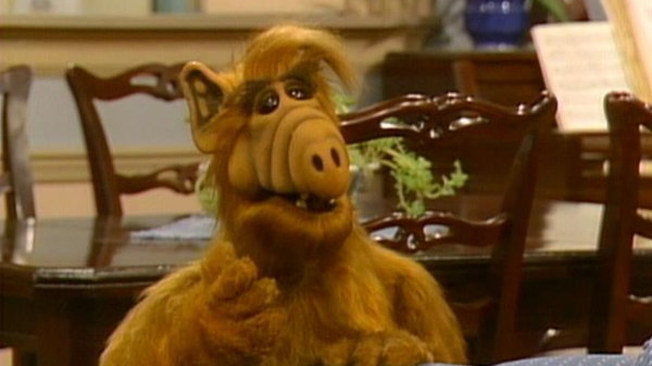 ALF Season 1 Episode 14 Recap