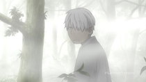 Mushishi - Episode 26 - The Sound of Footsteps on the Grass