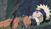 Naruto - Episode 28 - Eat or Be Eaten: Panic in the Forest