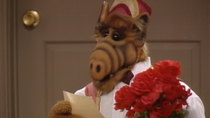 ALF - Episode 5 - Tonight, Tonight (2)