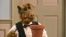 ALF - Episode 11 - Alone Again, Naturally