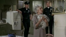 Adam-12 - Episode 6 - Log 55: Missing Child