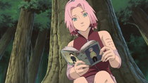 Naruto Shippuuden - Episode 46 - The Unfinished Page