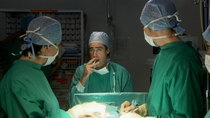 Green Wing - Episode 7 - Tangled Webs