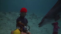 Flipper - Episode 27 - Flipper's Underwater Museum