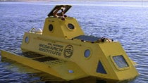 Flipper - Episode 8 - Submersible (aka Yellow Submarine)