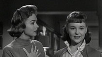 The Donna Reed Show - Episode 26 - Mary's Campaign